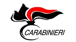 Logo Carabinieri